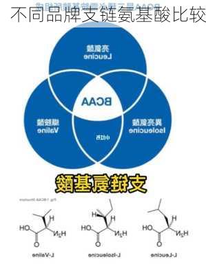 不同品牌支链氨基酸比较