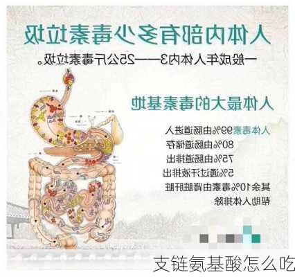 支链氨基酸怎么吃