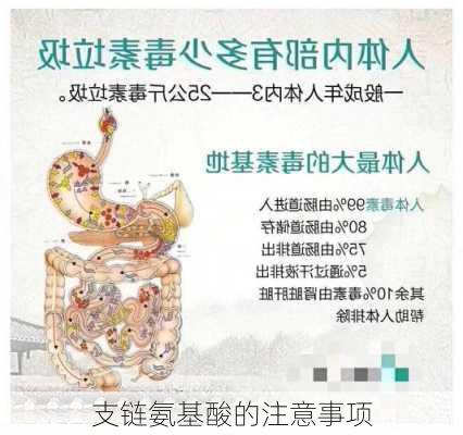 支链氨基酸的注意事项