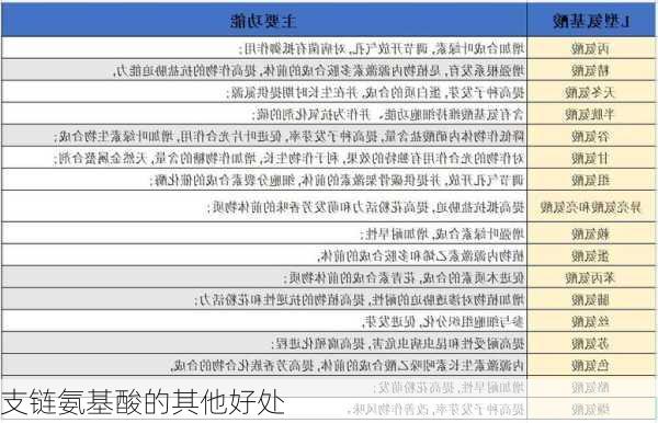 支链氨基酸的其他好处