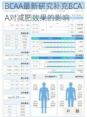 BCAA最新研究补充BCAA对减肥效果的影响