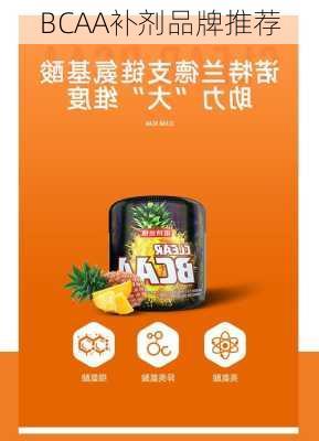 BCAA补剂品牌推荐