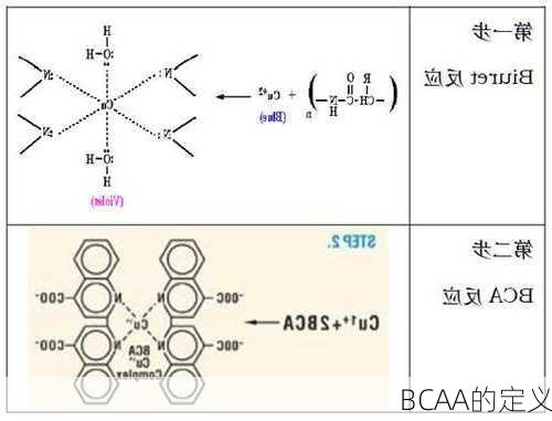 BCAA的定义