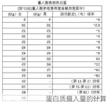 蛋白质摄入量的计算