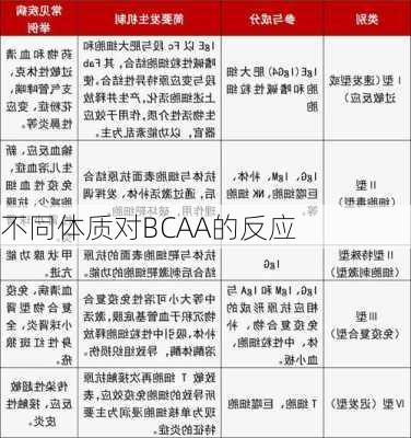 不同体质对BCAA的反应