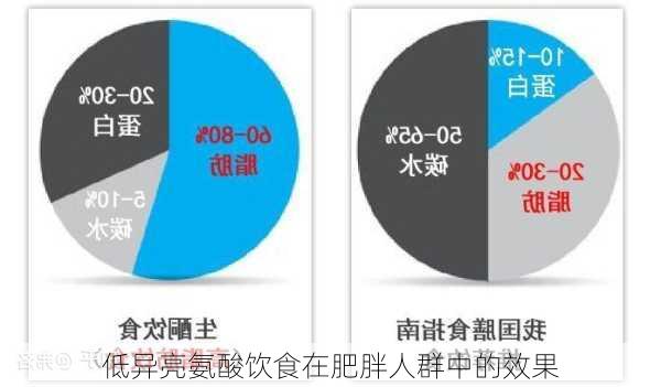 低异亮氨酸饮食在肥胖人群中的效果