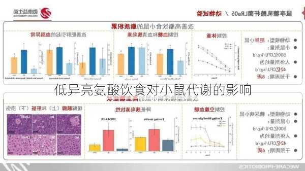 低异亮氨酸饮食对小鼠代谢的影响