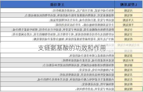 支链氨基酸的功效和作用