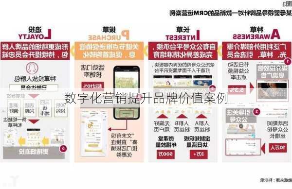 数字化营销提升品牌价值案例