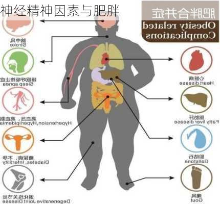 神经精神因素与肥胖