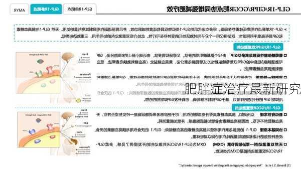 肥胖症治疗最新研究