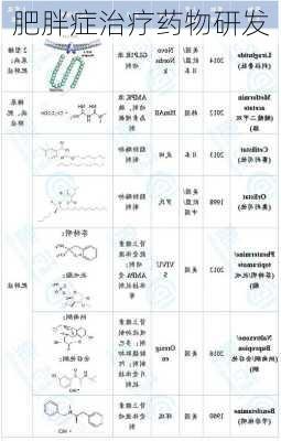 肥胖症治疗药物研发