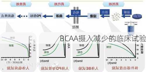 BCAA摄入减少的临床试验