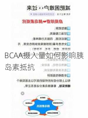 BCAA摄入量如何影响胰岛素抵抗