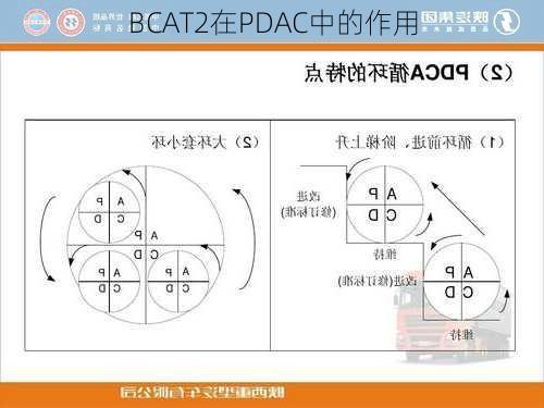 BCAT2在PDAC中的作用