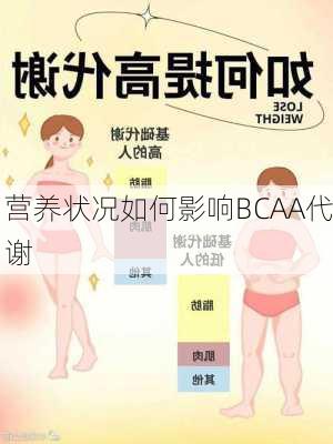 营养状况如何影响BCAA代谢