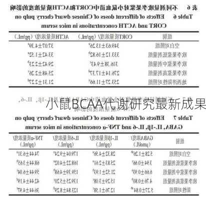 小鼠BCAA代谢研究最新成果