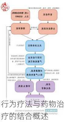 行为疗法与药物治疗的结合概述