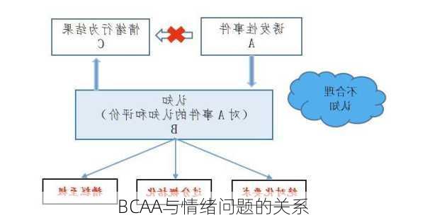 BCAA与情绪问题的关系