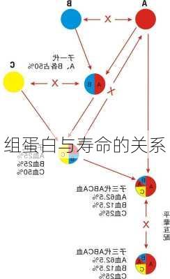 组蛋白与寿命的关系