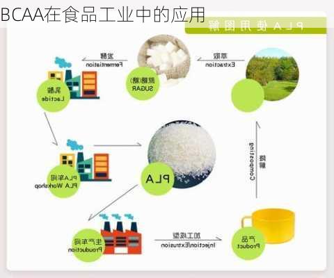 BCAA在食品工业中的应用