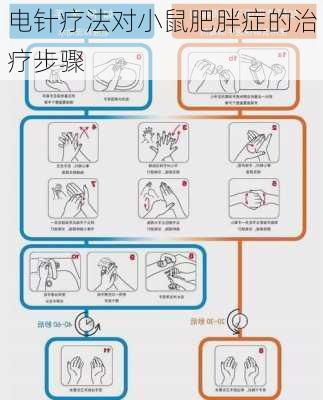 电针疗法对小鼠肥胖症的治疗步骤