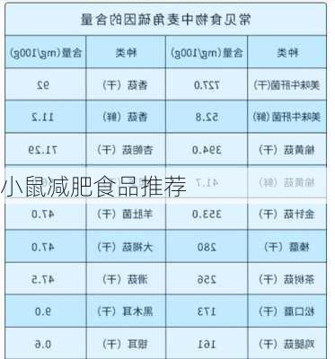 小鼠减肥食品推荐