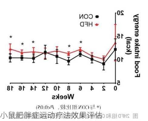 小鼠肥胖症运动疗法效果评估