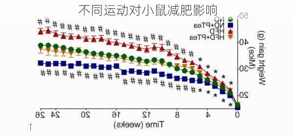 不同运动对小鼠减肥影响