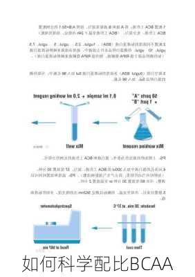 如何科学配比BCAA