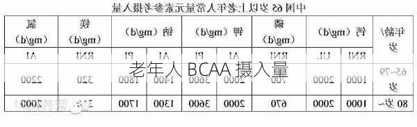 老年人 BCAA 摄入量