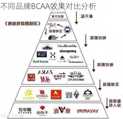 不同品牌BCAA效果对比分析