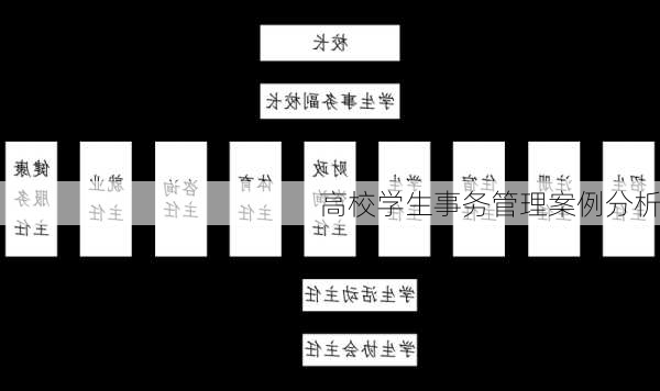 高校学生事务管理案例分析