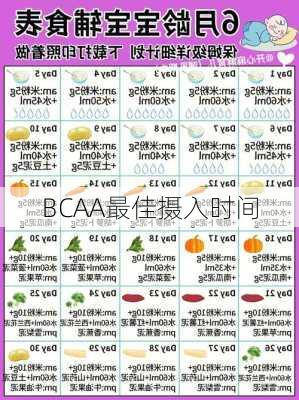 BCAA最佳摄入时间