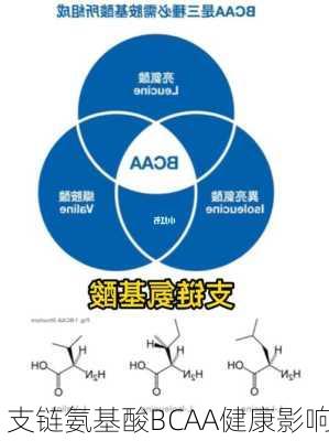 支链氨基酸BCAA健康影响