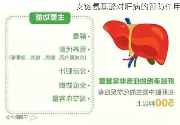 支链氨基酸对肝病的预防作用