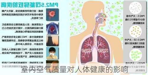 室内空气质量对人体健康的影响