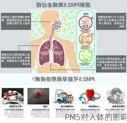 PM5对人体的影响