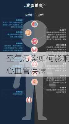 空气污染如何影响心血管疾病