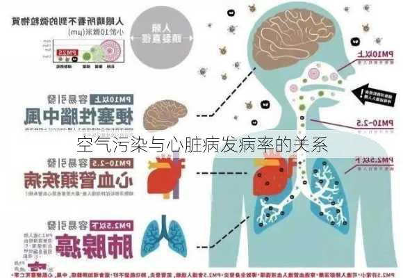 空气污染与心脏病发病率的关系