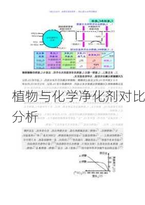 植物与化学净化剂对比分析