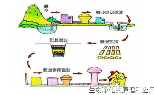 生物净化的原理和应用