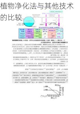 植物净化法与其他技术的比较