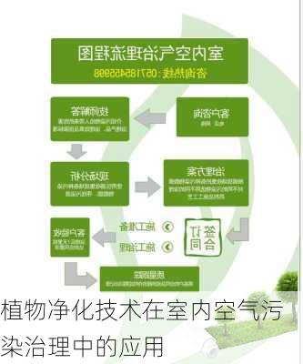 植物净化技术在室内空气污染治理中的应用