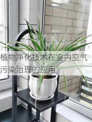 植物净化技术在室内空气污染治理的应用