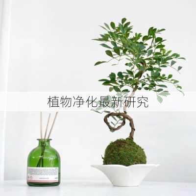 植物净化最新研究