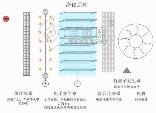 植物净化原理最新进展