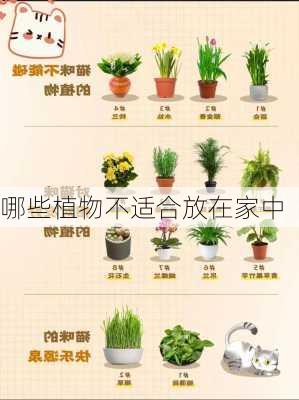 哪些植物不适合放在家中