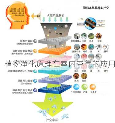 植物净化原理在室内空气的应用