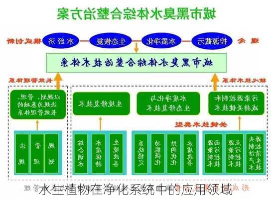 水生植物在净化系统中的应用领域